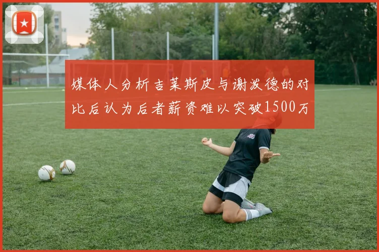媒体人分析吉莱斯皮与谢泼德的对比后认为后者薪资难以突破1500万